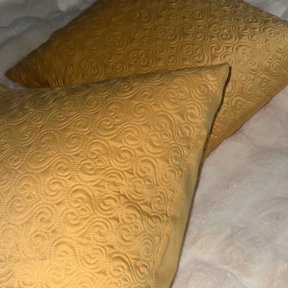 Elegant Gold Decorative Pillows